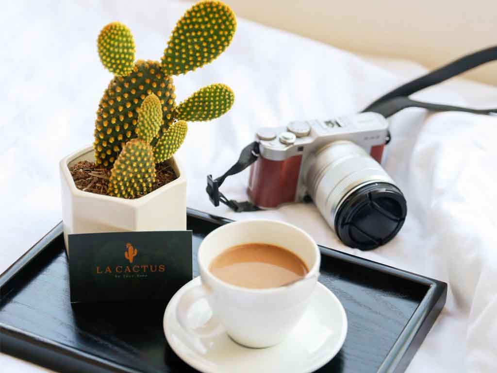 La Cactus Hotel